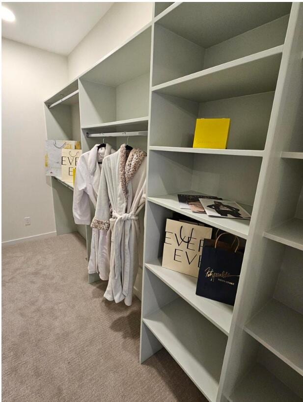 2359 Elinor Ln SE, East Grand Rapids, MI 49506 - spacious closet with carpet flooring