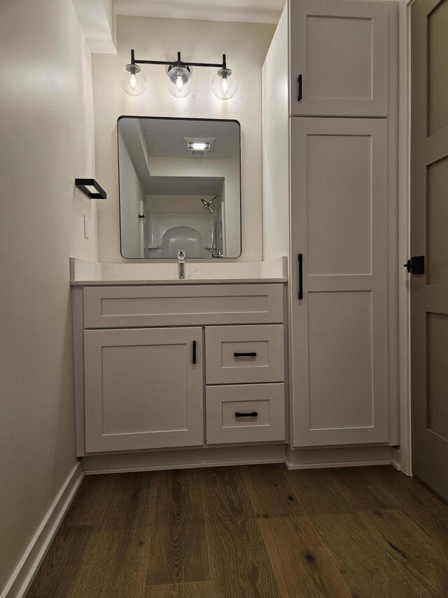 2359 Elinor Ln SE, East Grand Rapids, MI 49506 - bathroom featuring wood finished floors and vanity