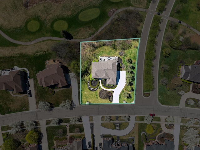 bird's eye view