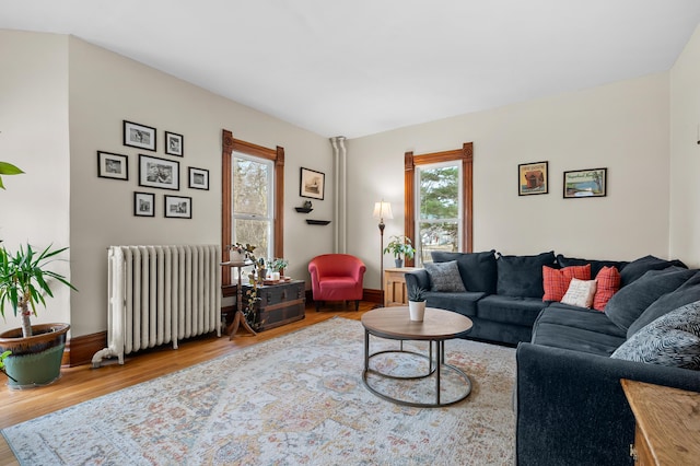 265 Bailey Ave, South Haven, MI 49090 - living room with wood finished floors and radiator