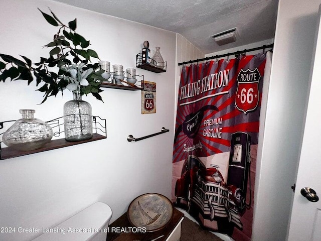 17669 Lake Dr, Barryton, MI 49305 - bathroom with toilet, a textured ceiling, and a shower with curtain