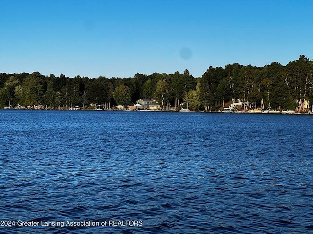 17669 Lake Dr, Barryton, MI 49305 - water view featuring a heavily wooded area