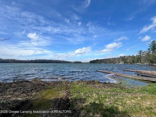 17669 Lake Dr, Barryton, MI 49305 - water view featuring a boat dock