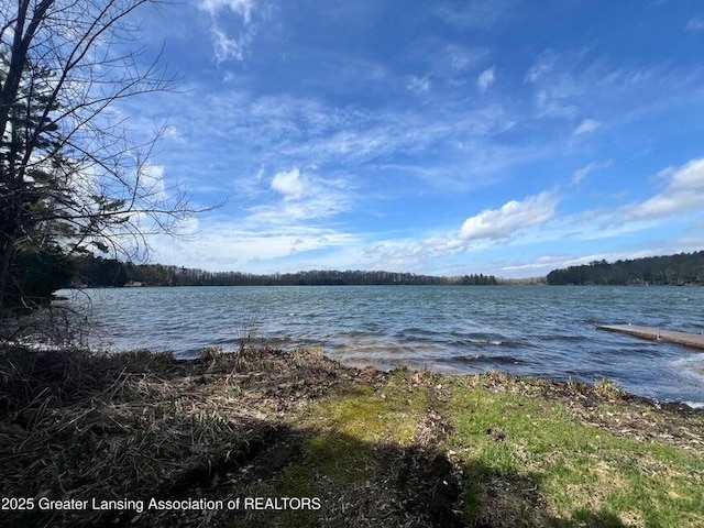 17669 Lake Dr, Barryton, MI 49305 - water view