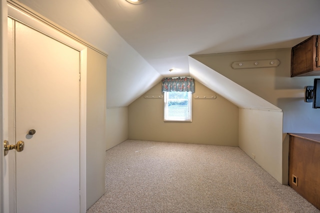 390 Red Oak Ln, Rochester Hills, MI 48307 - additional living space with carpet floors and lofted ceiling