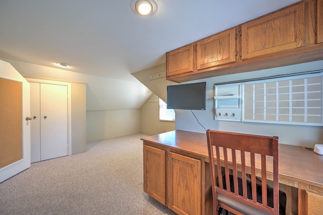 390 Red Oak Ln, Rochester Hills, MI 48307 - unfurnished office featuring carpet flooring and vaulted ceiling