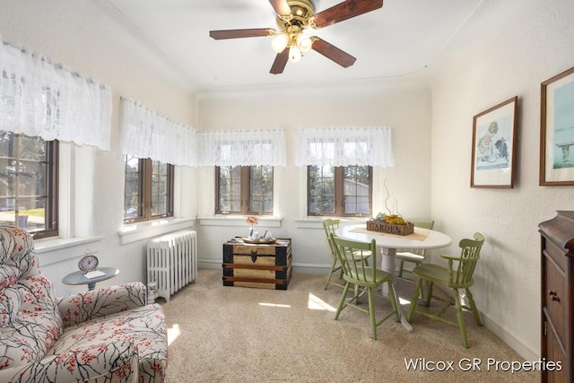 sunroom / solarium featuring radiator heating unit