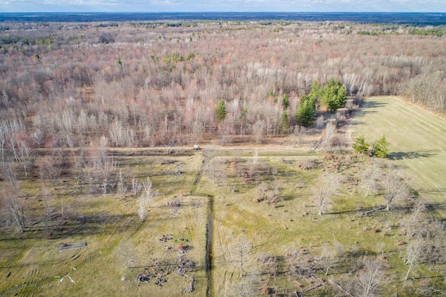 birds eye view of property with a rural view and a forest view