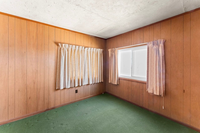 3931 S Shore Dr, Lapeer, MI 48446 - carpeted spare room with a textured ceiling and wood walls