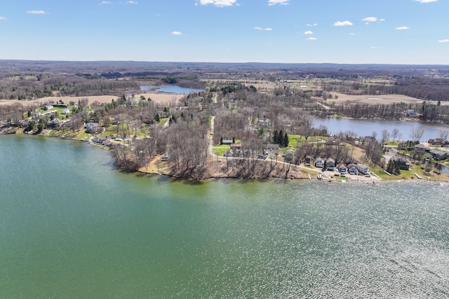 3931 S Shore Dr, Lapeer, MI 48446 - drone / aerial view featuring a water view