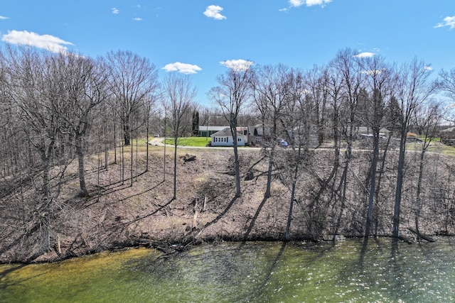 3931 S Shore Dr, Lapeer, MI 48446 - view of yard