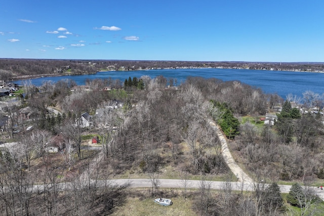 3931 S Shore Dr, Lapeer, MI 48446 - aerial view with a water view