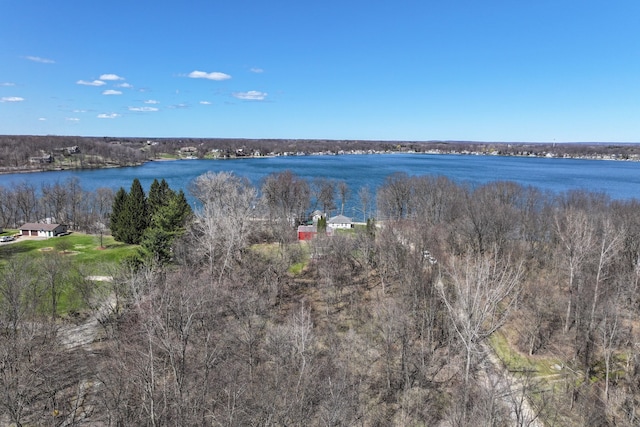 3931 S Shore Dr, Lapeer, MI 48446 - water view