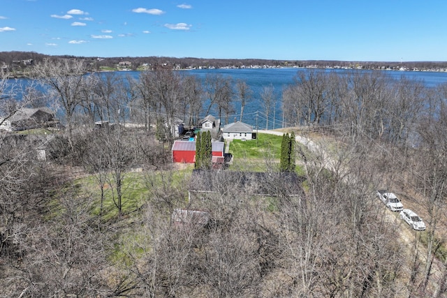 3931 S Shore Dr, Lapeer, MI 48446 - bird's eye view featuring a water view