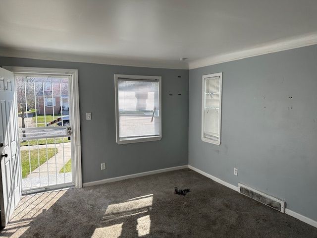 carpeted spare room with visible vents, baseboards, and ornamental molding