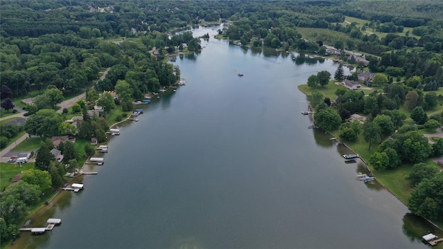 9920 Sashabaw Rd, Clarkston, MI 48348 - aerial view featuring a view of trees and a water view