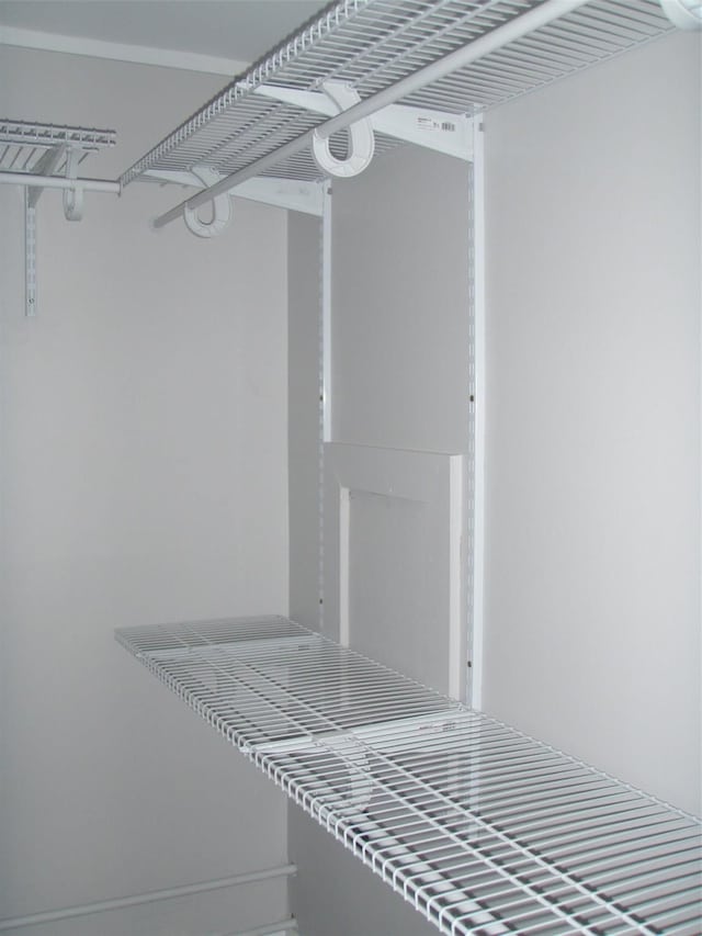 9920 Sashabaw Rd, Clarkston, MI 48348 - view of walk in closet