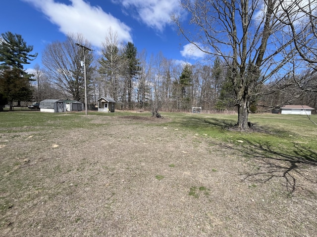 view of yard featuring an outdoor structure and a storage shed