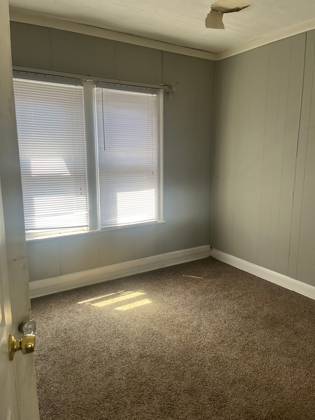 spare room with baseboards and carpet flooring