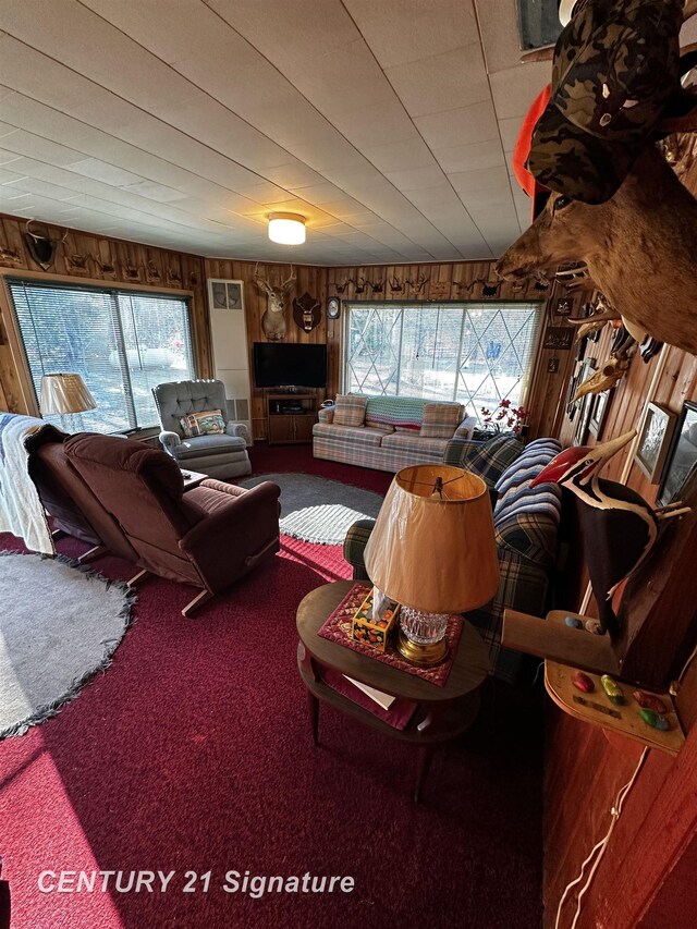 6002 Wildwood Dr, Alger, MI 48610 - photo 20