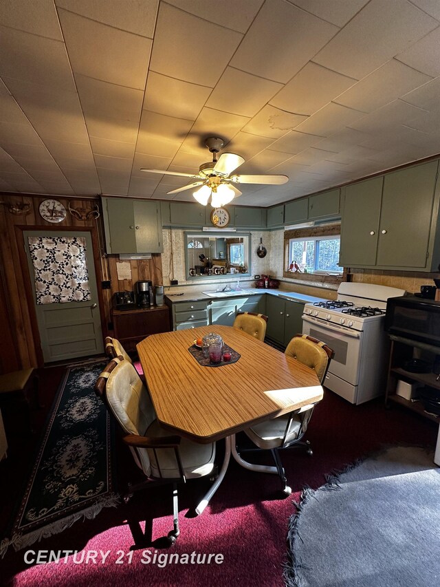 6002 Wildwood Dr, Alger, MI 48610 - photo 26