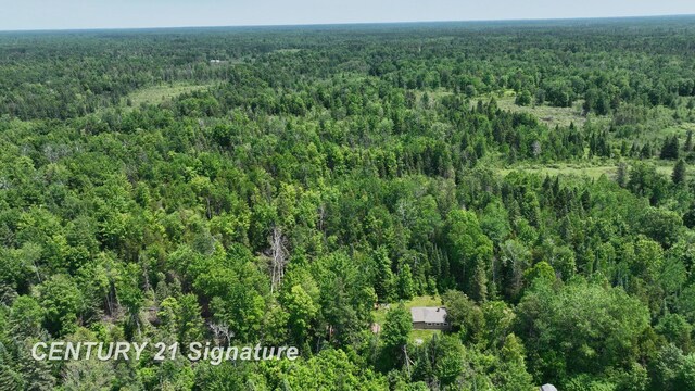6002 Wildwood Dr, Alger, MI 48610 - photo 9