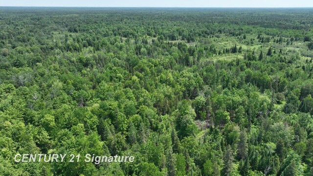 6002 Wildwood Dr, Alger, MI 48610 - photo 10