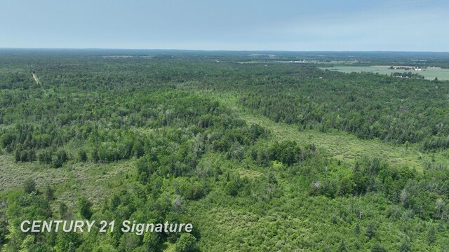 6002 Wildwood Dr, Alger, MI 48610 - photo 13