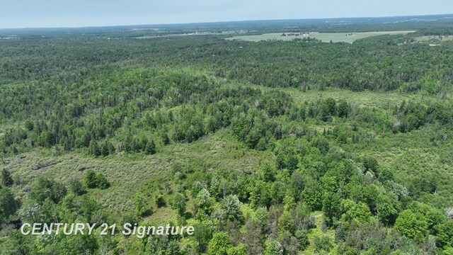 6002 Wildwood Dr, Alger, MI 48610 - photo 14