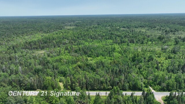 6002 Wildwood Dr, Alger, MI 48610 - photo 18