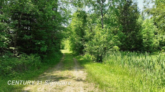 6002 Wildwood Dr, Alger, MI 48610 - photo 7