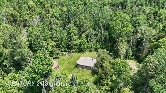 6002 Wildwood Dr, Alger, MI 48610 - photo 8