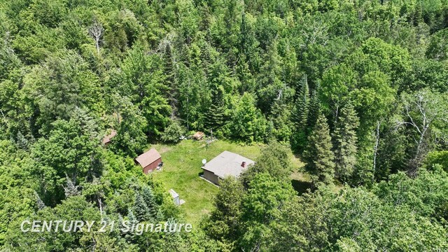 6002 Wildwood Dr, Alger, MI 48610 - photo 43