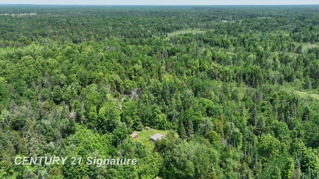 6002 Wildwood Dr, Alger, MI 48610 - photo 44