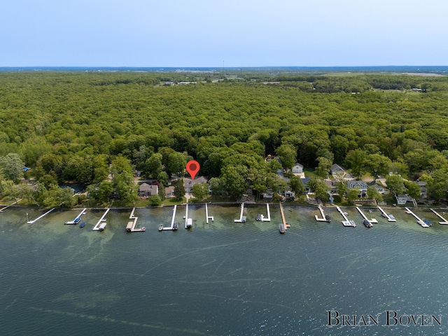 2765 Elmwood Dr, Pierson, MI 49339 - photo 66