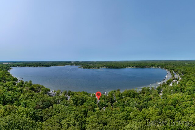 2765 Elmwood Dr, Pierson, MI 49339 - photo 6