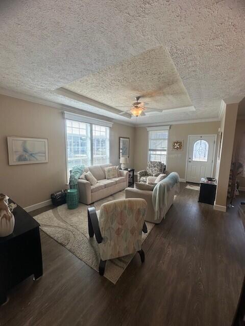 5652 Kingsley Dr NE, Rockford, MI 49341 - living area featuring a tray ceiling, baseboards, a textured ceiling, and dark wood finished floors