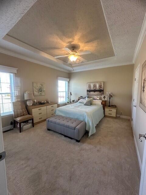 5652 Kingsley Dr NE, Rockford, MI 49341 - bedroom with ornamental molding, light colored carpet, a textured ceiling, and a raised ceiling