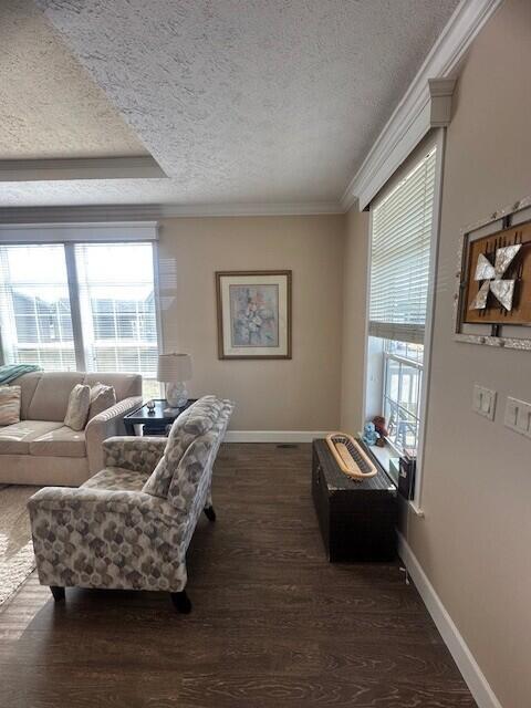 5652 Kingsley Dr NE, Rockford, MI 49341 - living area with a wealth of natural light, baseboards, a textured ceiling, and ornamental molding