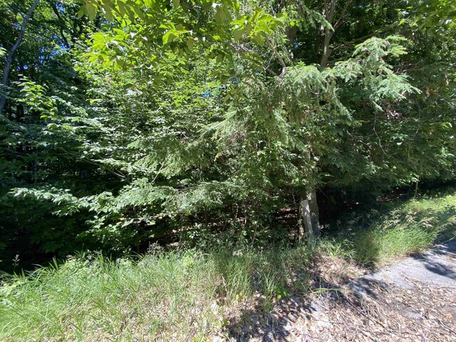 LOT9 S Club Dr, Cedar, MI 49621