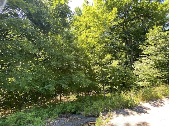 LOT9 S Club Dr, Cedar, MI 49621