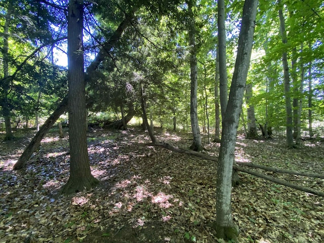 LOT9 S Club Dr, Cedar, MI 49621