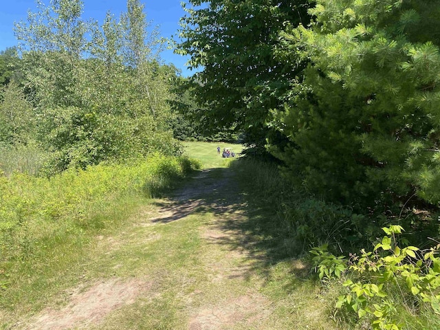LOT9 S Club Dr, Cedar, MI 49621