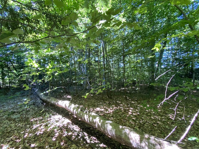 LOT9 S Club Dr, Cedar, MI 49621
