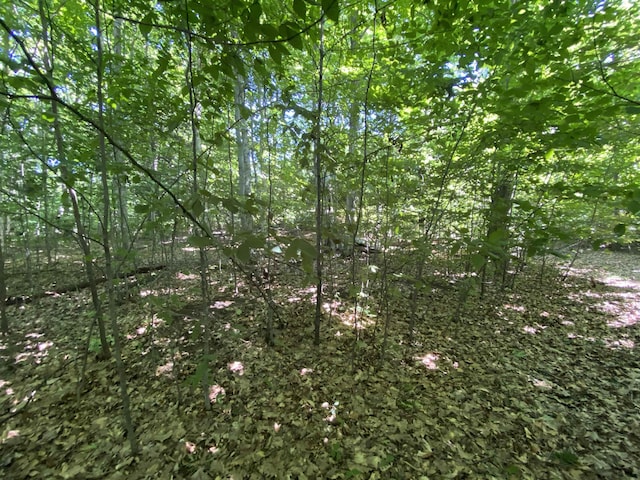 LOT9 S Club Dr, Cedar, MI 49621