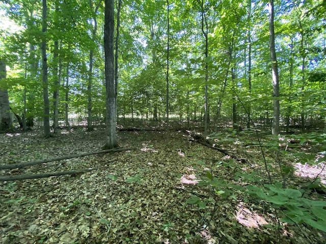LOT9 S Club Dr, Cedar, MI 49621