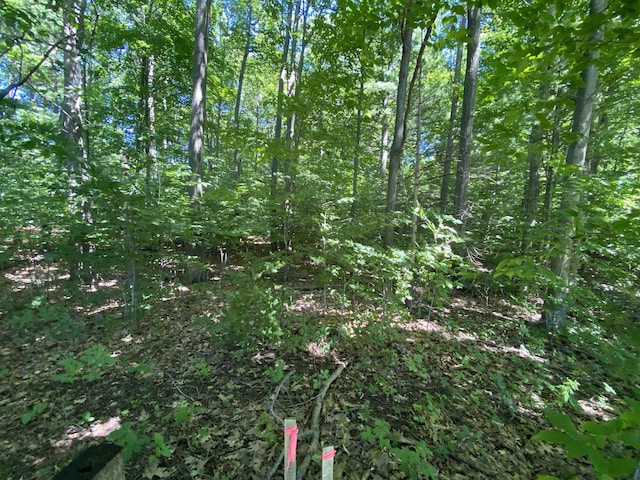LOT9 S Club Dr, Cedar, MI 49621