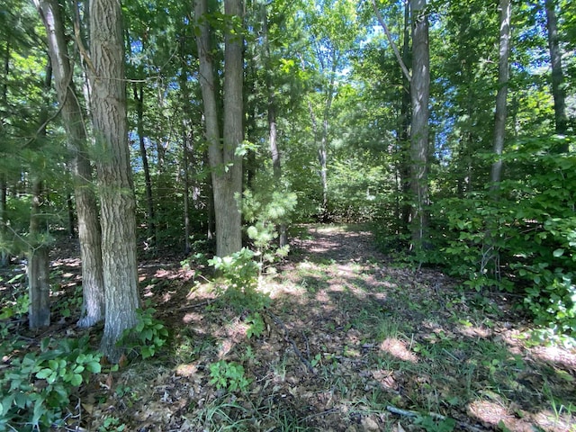 LOT9 S Club Dr, Cedar, MI 49621