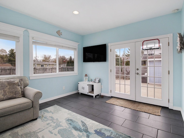 interior space featuring a healthy amount of sunlight, baseboards, and french doors