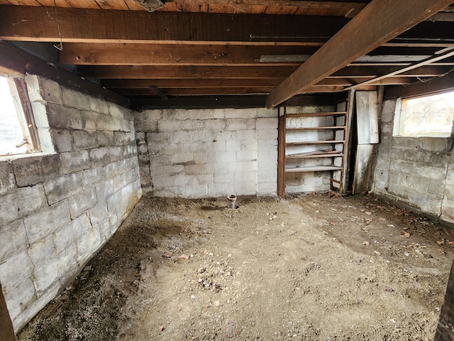 6419 Roosevelt St, Detroit, MI 48208 - view of basement